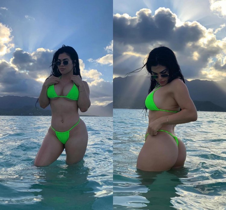 Rachel Ostovich plum