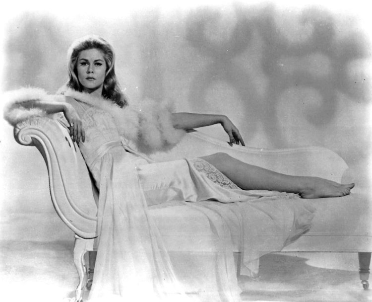 Elizabeth Montgomery 1950