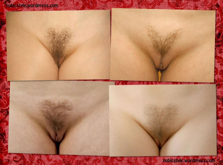Erotic haircuts on the pubis