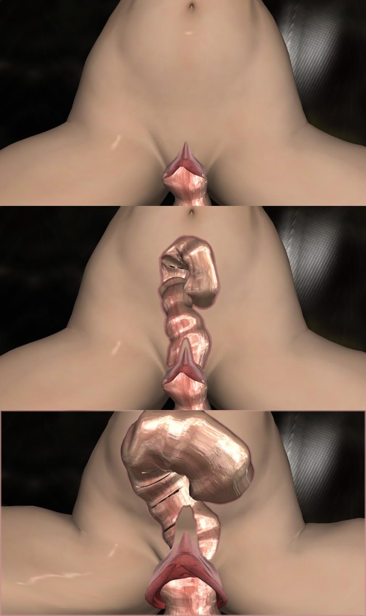 Vagins in computer games