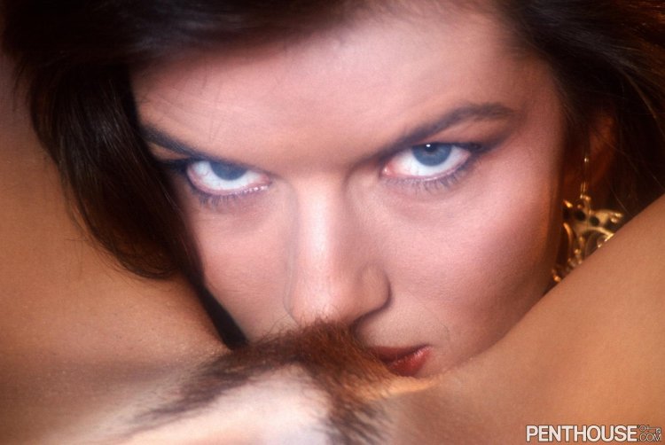 Forbidden Fantasy Penthouse CD