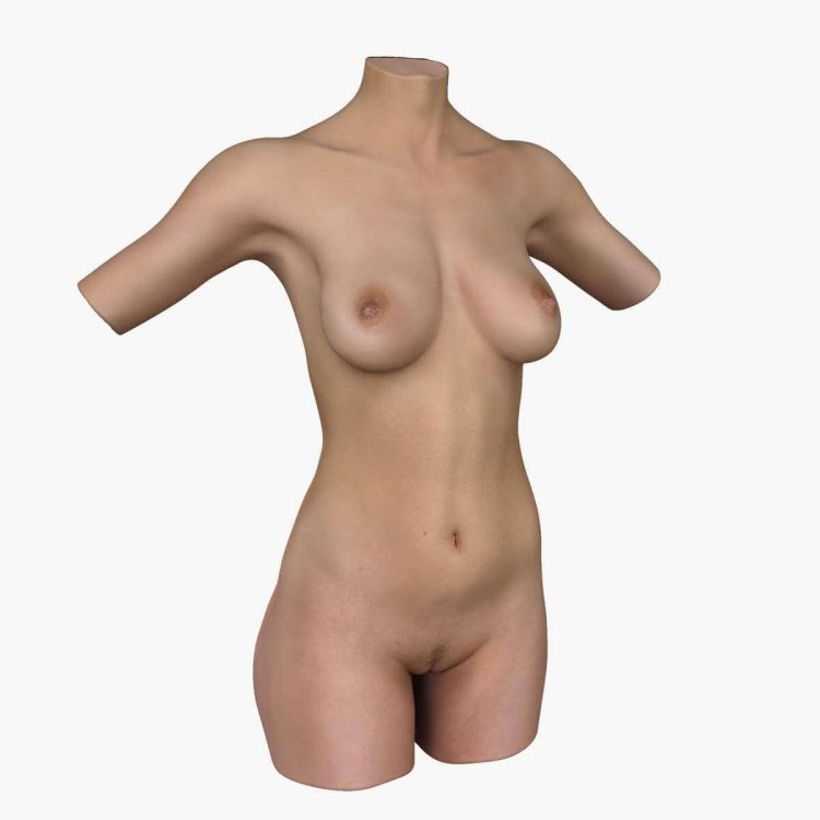 Female torso Anatomy