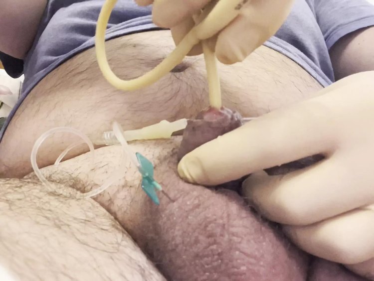 Bdsm insert a catheter into member