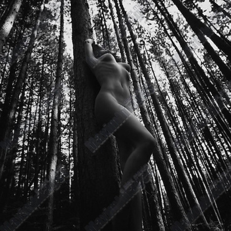 Elena Kuzmins in the forest nude