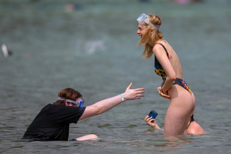 Nikola Peltz in a swimsuit