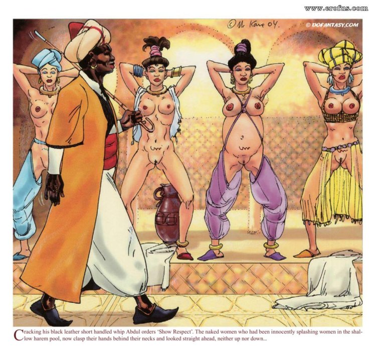 Erotic drawings with a harem