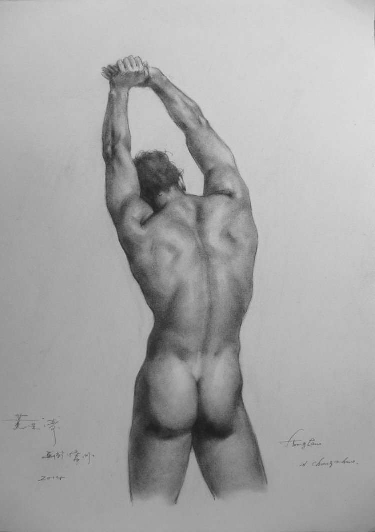 Illustrations male nude