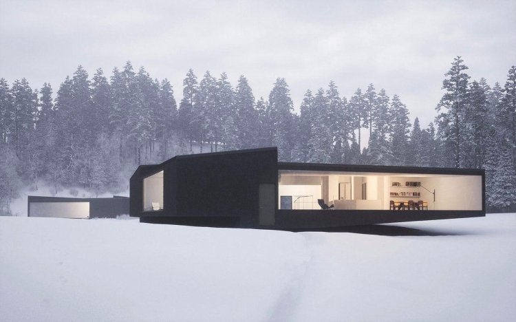 Minimalism House