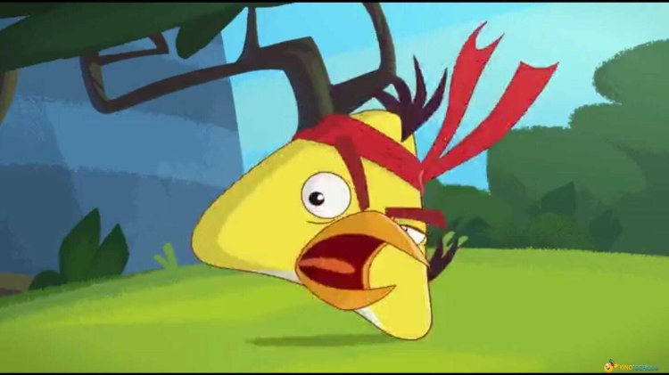 Evil birds dumb rooster