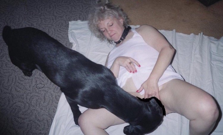 Homemade zoo with a dog