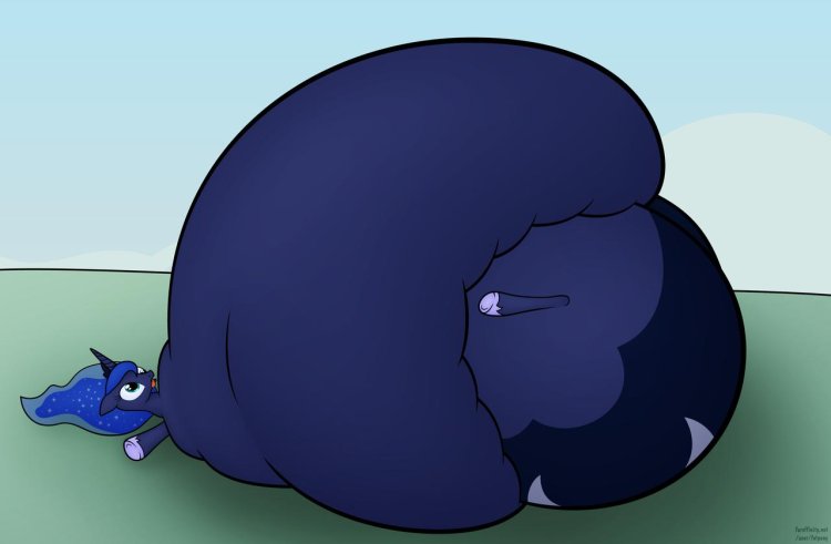 Princess Blueberry Inflation
