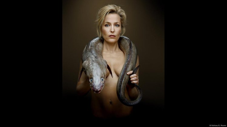 Jilian Anderson Dark past