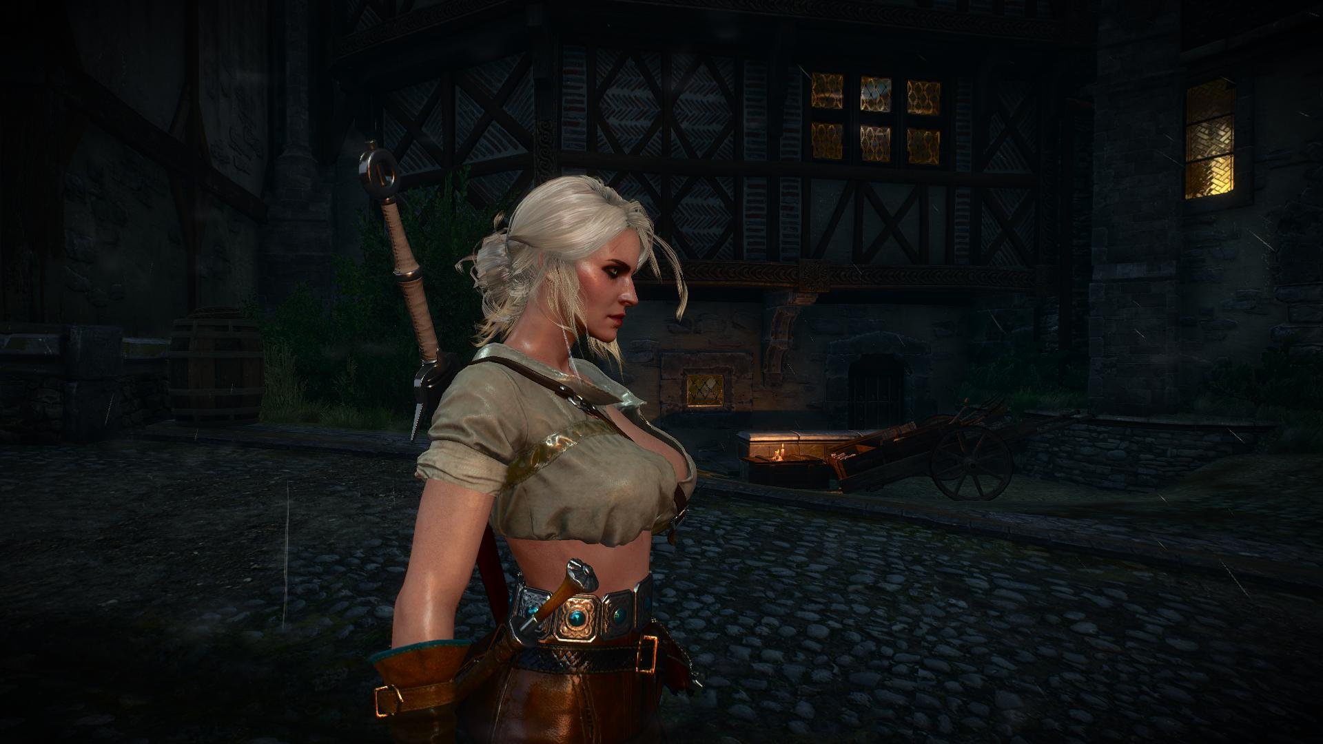 Witcher 3 The Wild Nudity Project