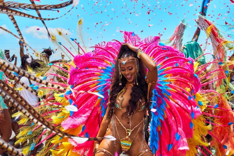 Andrea Martins Brazili Carnival