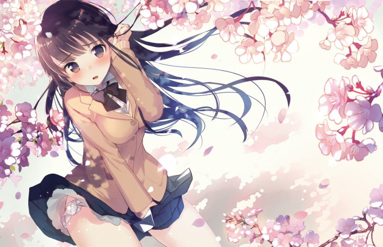 Pinteric Pictures answer questions what they do