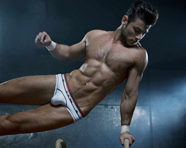 Dima Gornovsky model