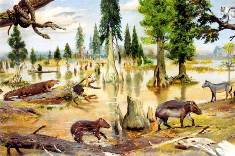 Forty 1000,000 years ago