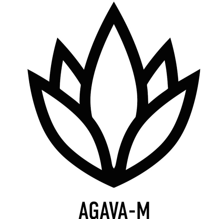 Underwear for the bride