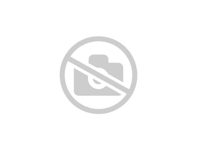 Mini Excavator Kobelco SK025