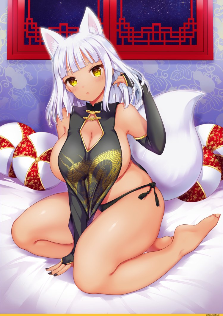 Kitsune Ecchi