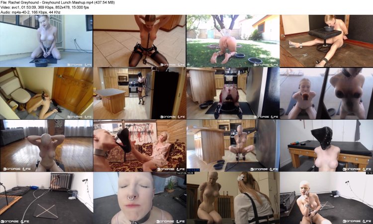 Rachel Greyhound Porn actress