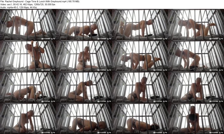 Rachel Greyhound Porn actress