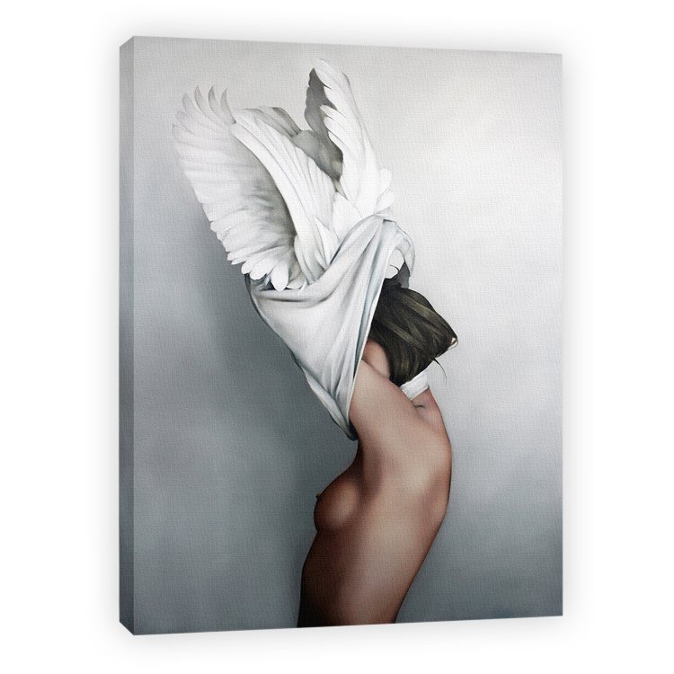 Amy Jadd butterflies