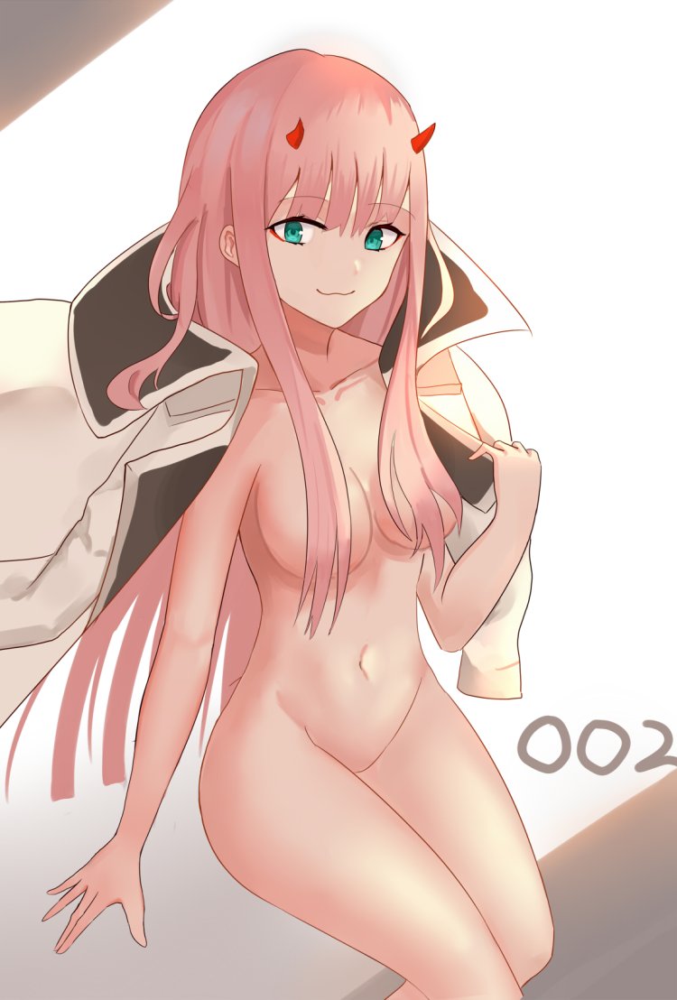 Zero Two Darling in the Franxx Echchi