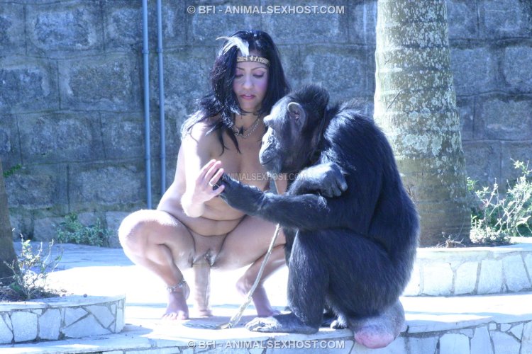 Erotic planet of monkeys