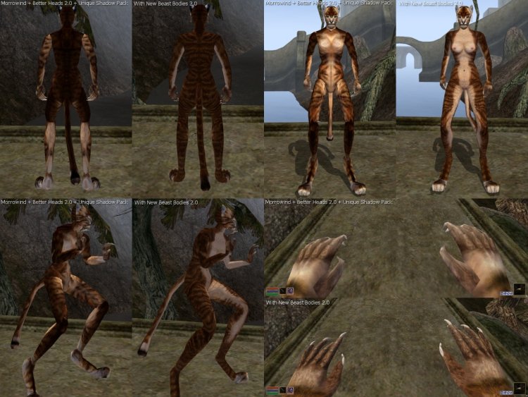 MORROVID Naked characters