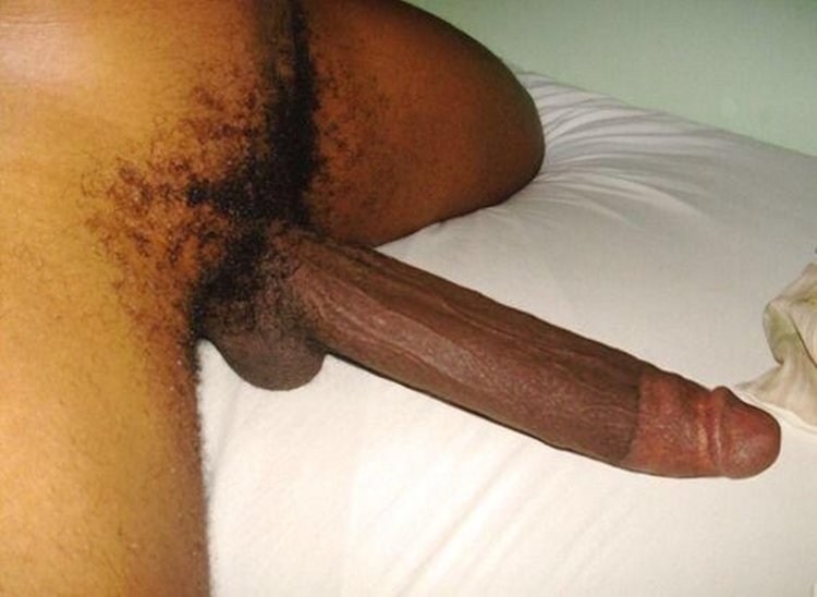 Dick trimmed huge black