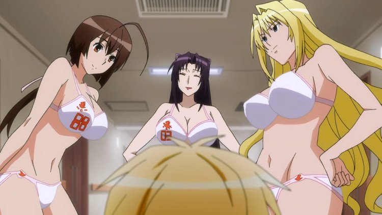 Sekirei: Honest Battle of Boobs