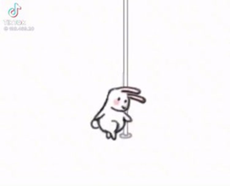 Yves Angel Hungarian porn actress