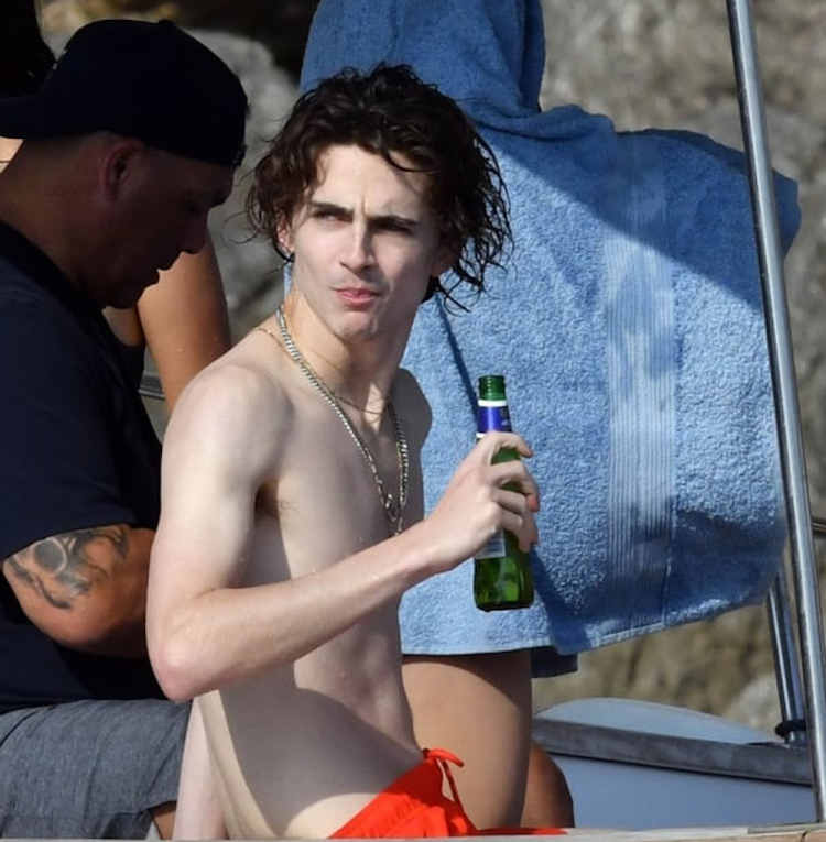 Timothy Shalame torso