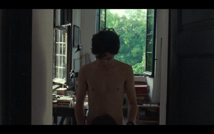 Timothy Shalam is naked