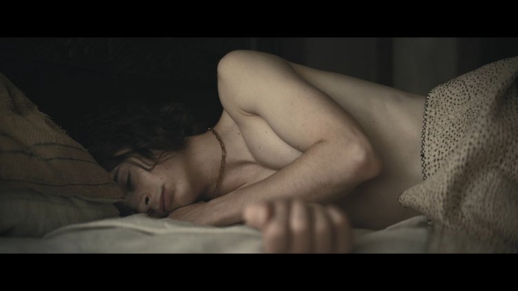 Timothy Shalam is naked