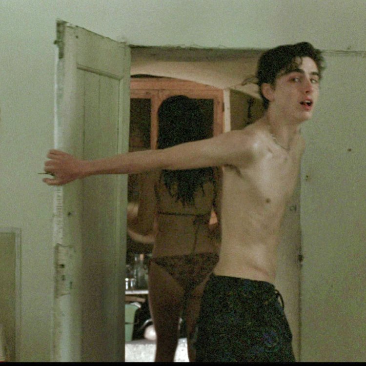 Timothy Shalame Member