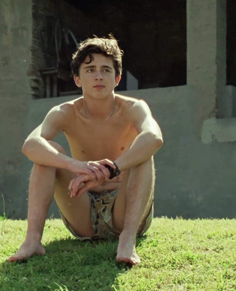 Timothy Shalam is naked