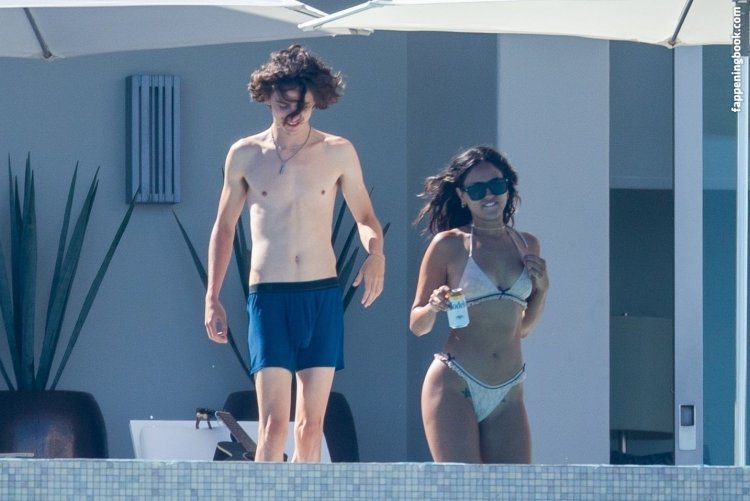 Timothy chalamet torso