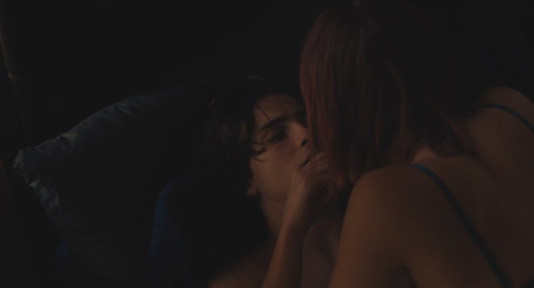 Timothy Shalame Lady Berd