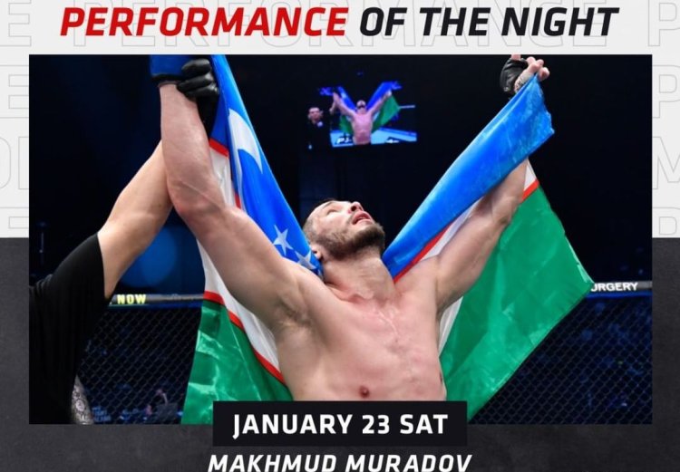 Maҳmud Murodov Trinazhor Vali Address