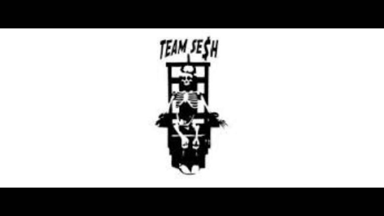 Team Sesh Logo