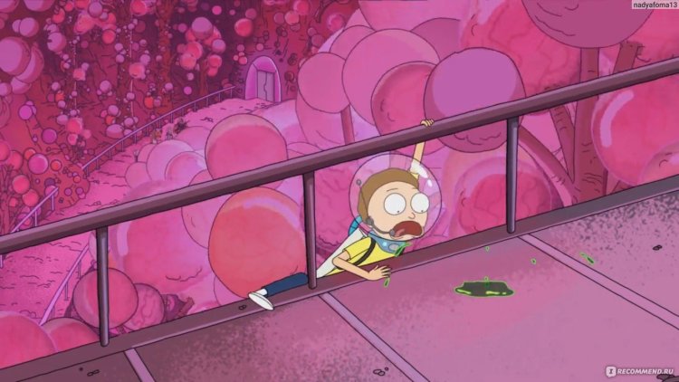 Rick and Morty Anatomical Park Series