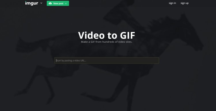 Make a gif from the video