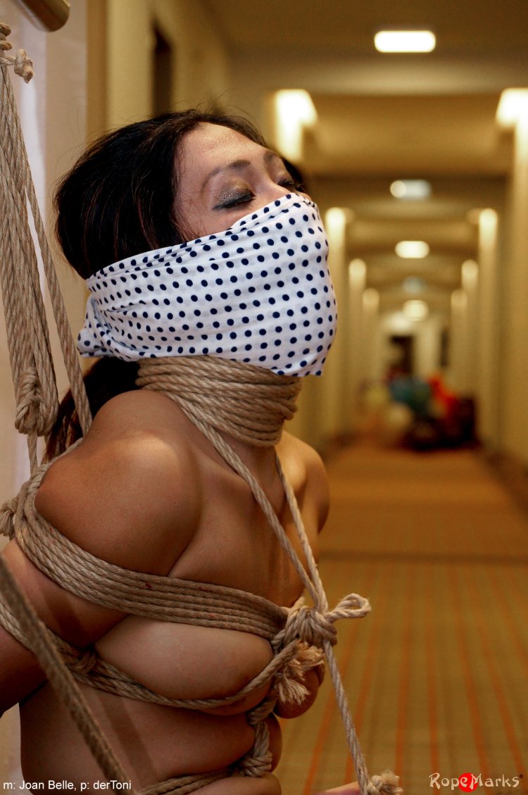 Bondage gag from panties