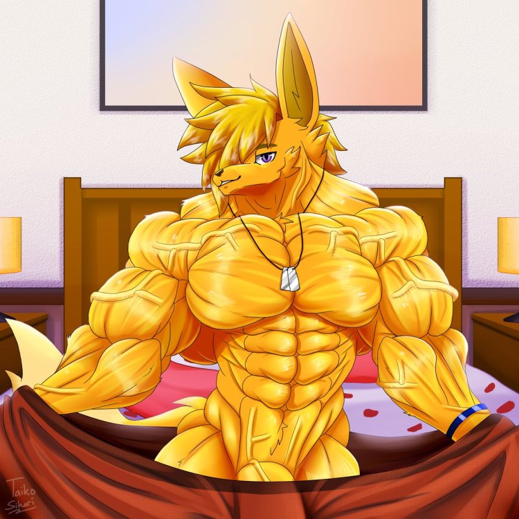 Bodybuilding Taiko Sihory Yellow Lemon Fox