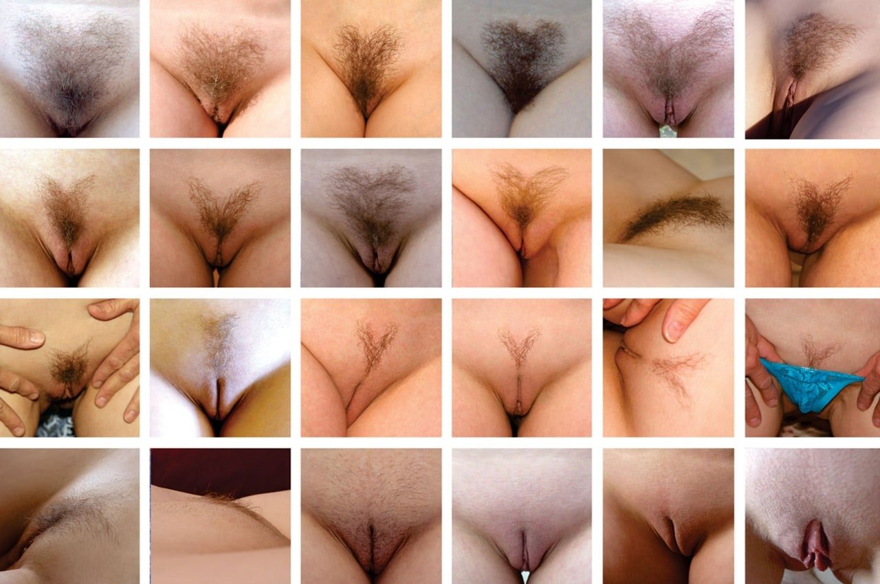 Different kinds of pussy porn - 🧡 What Kind Of Pussy Do You Prefer? 