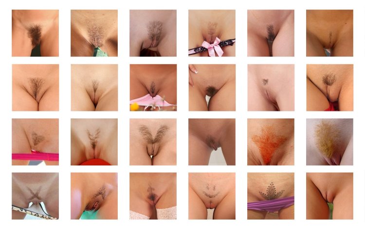 Different Shapes Of Pussy