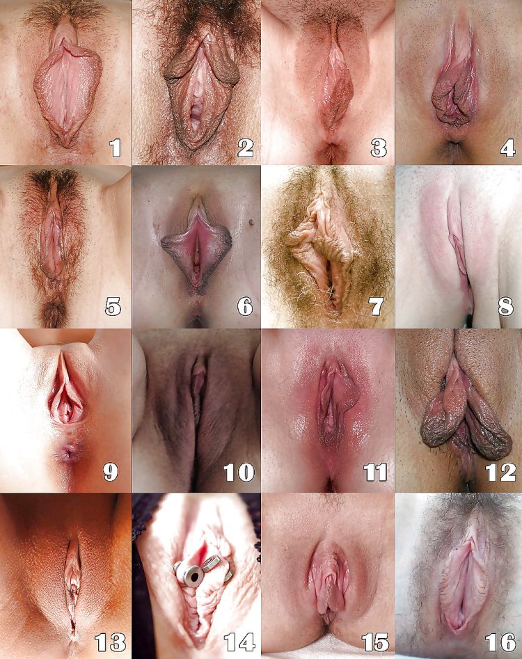 Toppusy | 10 Types of Pussy