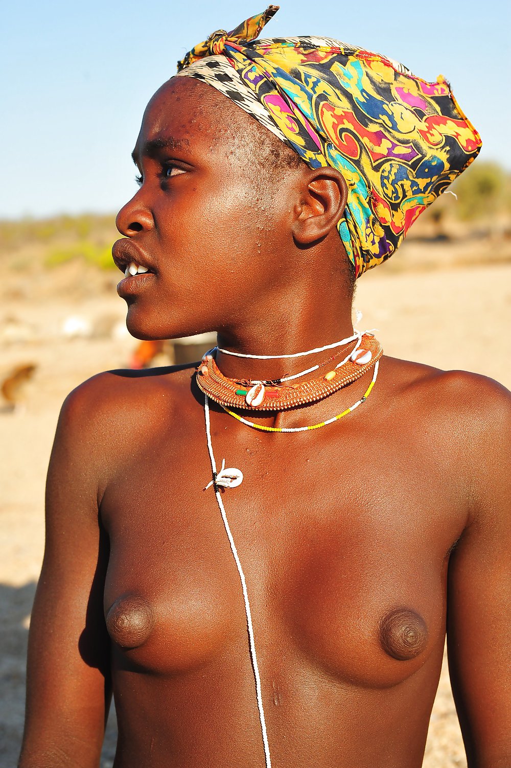 https://titis.org/uploads/posts/2021-12/1640958833_28-titis-org-p-african-girls-tits-erotika-28.jpg